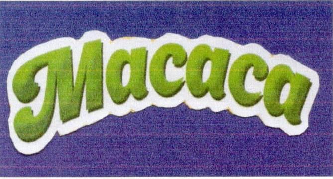 Macaca